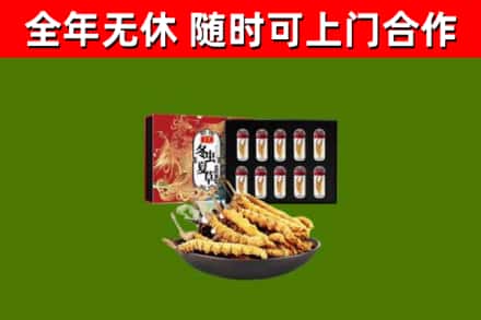 垦利区回收冬虫夏草价格