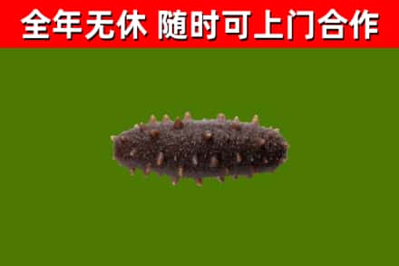 垦利区烟酒回收干海参.jpg